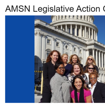 AMSN Legislative Brief January  2019